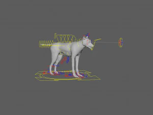 wolfanimatedrigged 3D Model