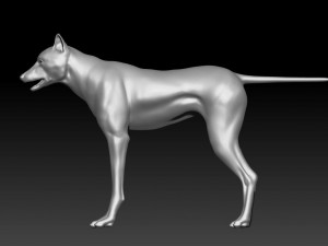 wolfanimatedrigged 3D Model