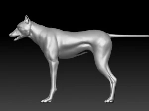 wolfanimatedrigged 3D Model