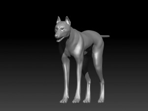 wolfanimatedrigged 3D Model