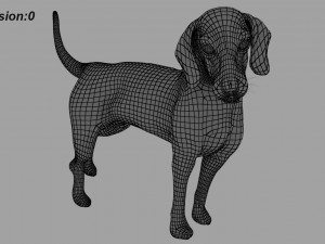 beagle fur animated rigged 3D Model