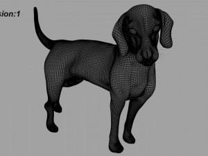 beagle fur animated rigged 3D Model