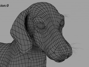 beagle fur animated rigged 3D Model