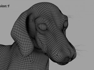beagle fur animated rigged 3D Model
