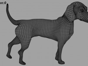 beagle fur animated rigged 3D Model