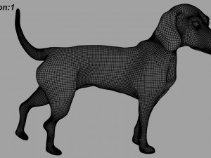 beagle fur animated rigged 3D Model