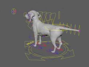 beagle fur animated rigged 3D Model
