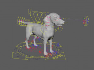 beagle fur animated rigged 3D Model