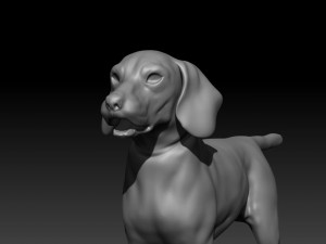 beagle fur animated rigged 3D Model