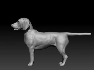 beagle fur animated rigged 3D Model