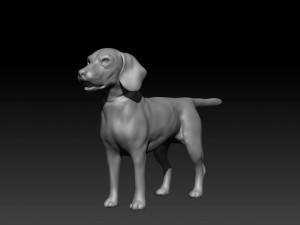 beagle fur animated rigged 3D Model