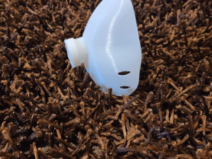 mask covid-19 3D Print Model