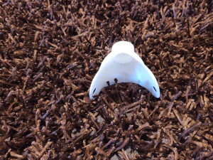 mask covid-19 3D Print Model