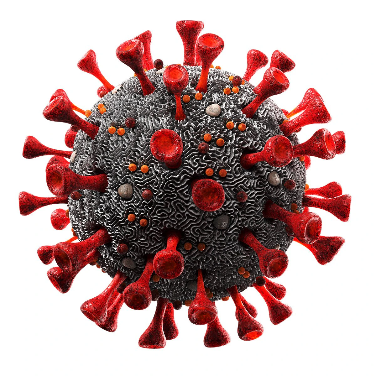 coronavirus sars-cov-2 3D Model .c4d .max .obj .3ds .fbx .stl .blend 
