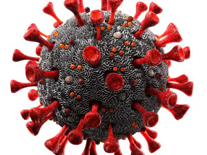 coronavirus sars-cov-2 Modello 3D