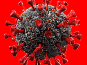 coronavirus sars-cov-2 3D Model