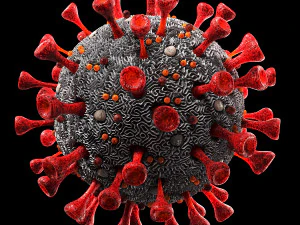 coronavirus sars-cov-2 3D Model