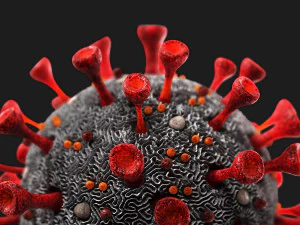 coronavirus sars-cov-2 3D Model