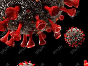 coronavirus sars-cov-2 3D Model