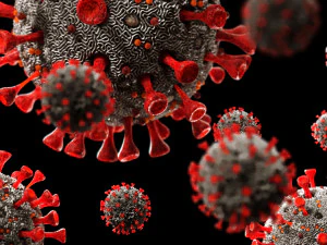 coronavirus sars-cov-2 3D Model