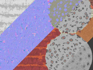 coronavirus sars-cov-2 3D Model