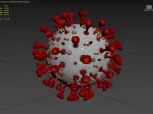 coronavirus sars-cov-2 3D Model
