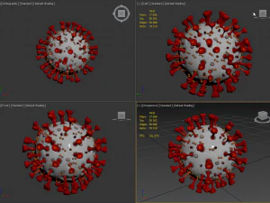 coronavirus sars-cov-2 3D Model