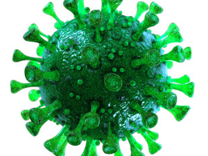 coronavirus sars-cov-2 - green 3D 모델