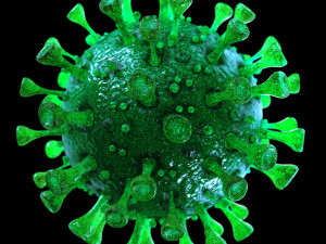 coronavirus sars-cov-2 - green 3D Model