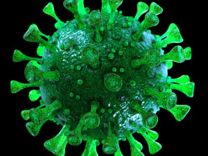 coronavirus sars-cov-2 - green 3D Model