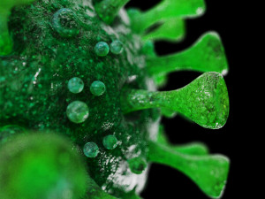 coronavirus sars-cov-2 - green 3D Model