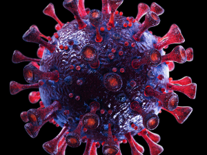 coronavirus sars-cov-2 - violet 3D 모델