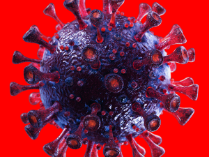 coronavirus sars-cov-2 - violet 3D 모델