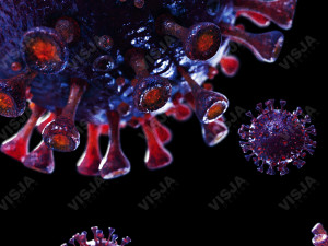 coronavirus sars-cov-2 - violet 3D 모델