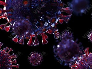 coronavirus sars-cov-2 - violet 3D 모델