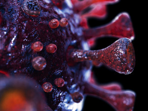 coronavirus sars-cov-2 - violet 3D 모델