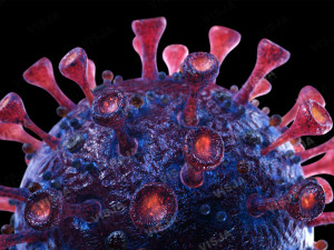 coronavirus sars-cov-2 - violet 3D 모델