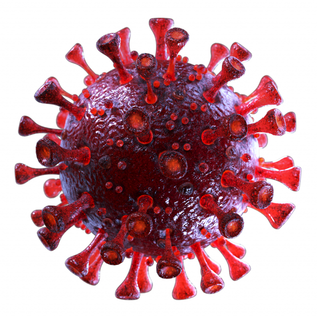 coronavirus sars-cov-2 - red Model 3D .c4d .max .obj .3ds .fbx .stl .blend 