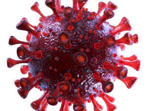 coronavirus sars-cov-2 - red 3D 모델