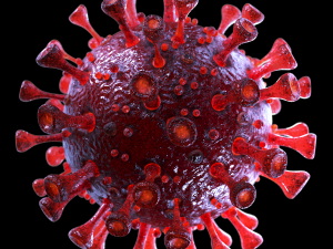 coronavirus sars-cov-2 - red Model 3D