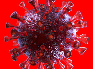 coronavirus sars-cov-2 - red Model 3D