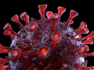 coronavirus sars-cov-2 - red Model 3D