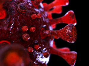 coronavirus sars-cov-2 - red 3D Model