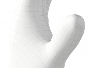 surgical latex gloves 3D मॉडल