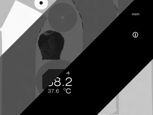 infrared medical thermometer 3D Model
