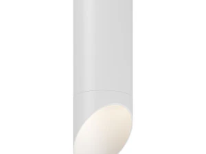 20143x rullo lightstar ceiling lamp with nozzle 3D Model