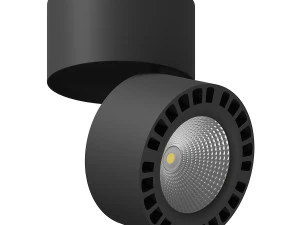 3813xx forte lightstar ceiling lamp 3D Model