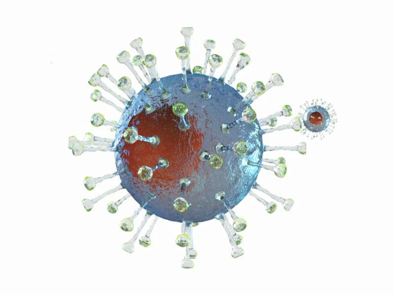 covid-19 coronavirus 3D Model .c4d .max .obj .3ds .fbx .stl .blend 