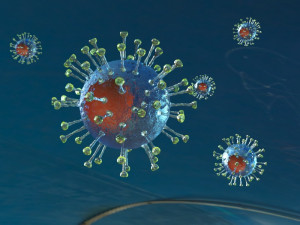 covid-19 coronavirus Model 3D