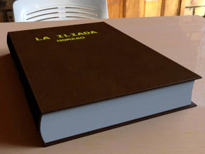 Livro Modelo 3D